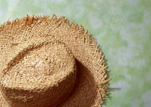 おしゃれで機能的！最適な日傘を見つけるための完全ガイド